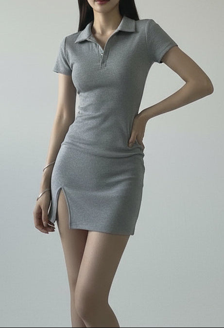 Polo Dress